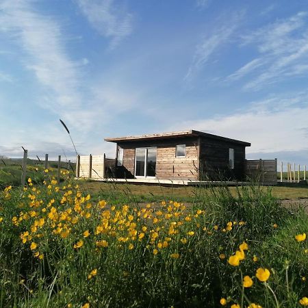 Blackwood Cottage Near Geysir Reykholt  Bagian luar foto