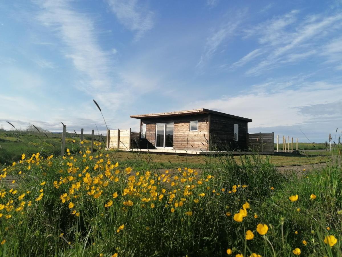 Blackwood Cottage Near Geysir Reykholt  Bagian luar foto